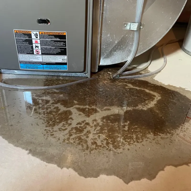 Appliance Leak Cleanup in Forestdale, AL